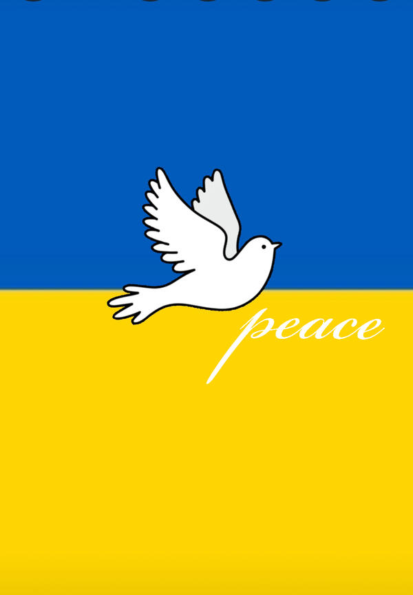 Bild vergrößern: Ukraine peace