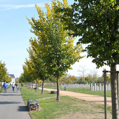 Bild vergr&ouml;&szlig;ern: Neustadtpark der Stadt Wei�enfels