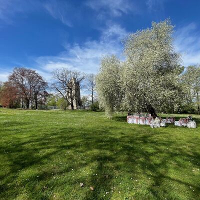 Bild vergrößern: Standesamt_Bismarckturm_Wiese_1