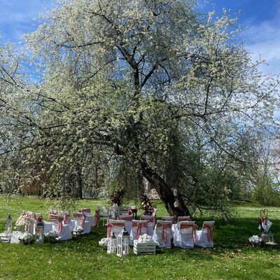 Bild vergrößern: Standesamt_Bismarckturm_Wiese_3