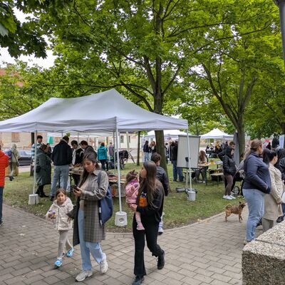 Bild vergr&ouml;&szlig;ern: PXL_20250926_130252404.MP