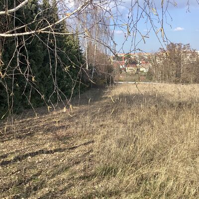 Bild vergr&ouml;&szlig;ern: Erdmann-Neumeister-Stra&szlig;e 9_5