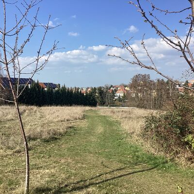 Bild vergr&ouml;&szlig;ern: Erdmann-Neumeister-Str. 01